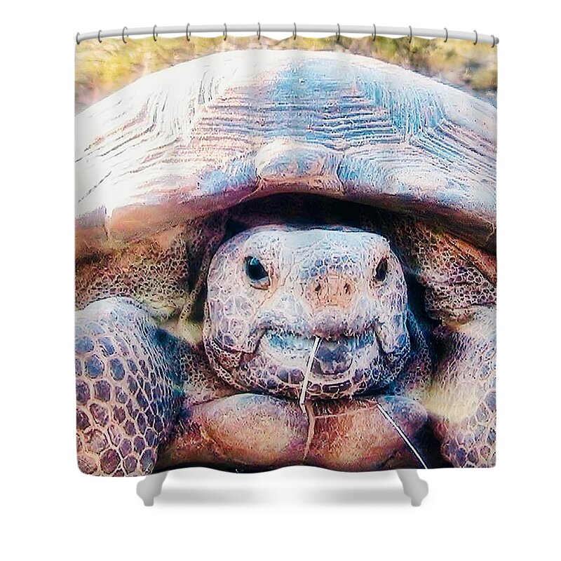Funny Face Shower Curtain featuring the photograph Aren't I Gorgeous? by Judy Kennedy