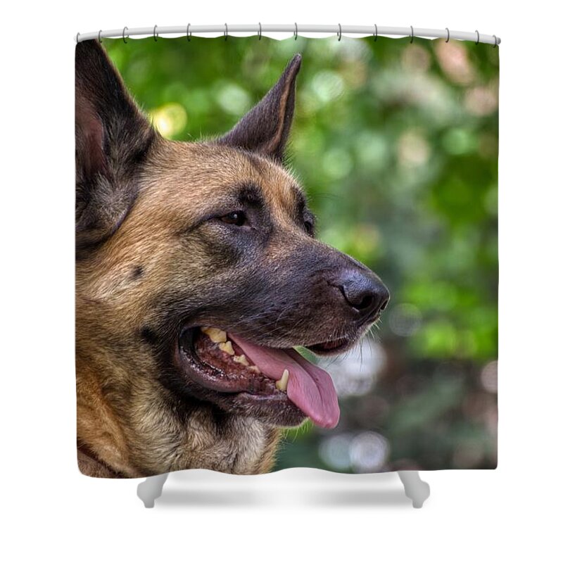 German Shepherd Shower Curtain featuring the photograph Ares by Raymond Hill