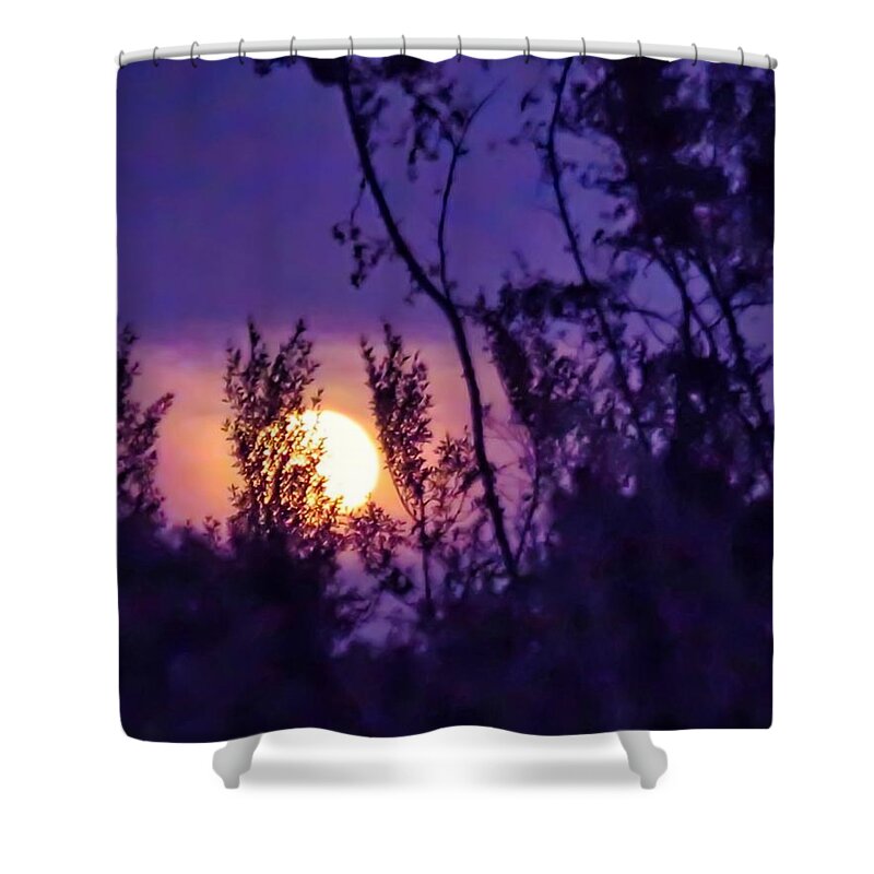 Arien Shower Curtain featuring the photograph Aries Full Moon Rising through Creosote by Judy Kennedy