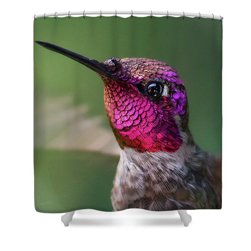 Macro Shower Curtain featuring the photograph Armored Jewel by Brian Tada