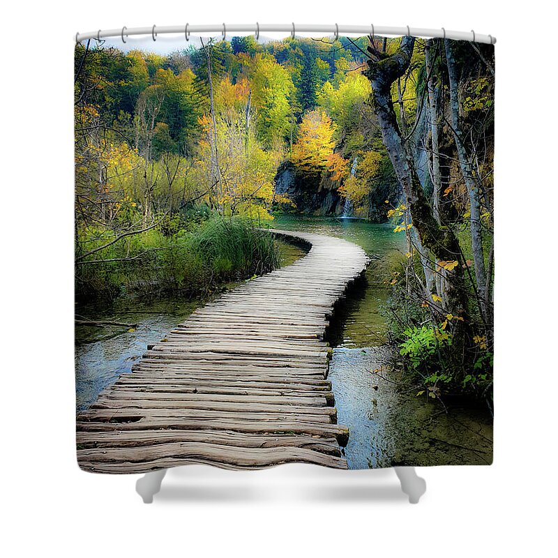 Trail Shower Curtain featuring the photograph Around the Bend by Andrea Whitaker