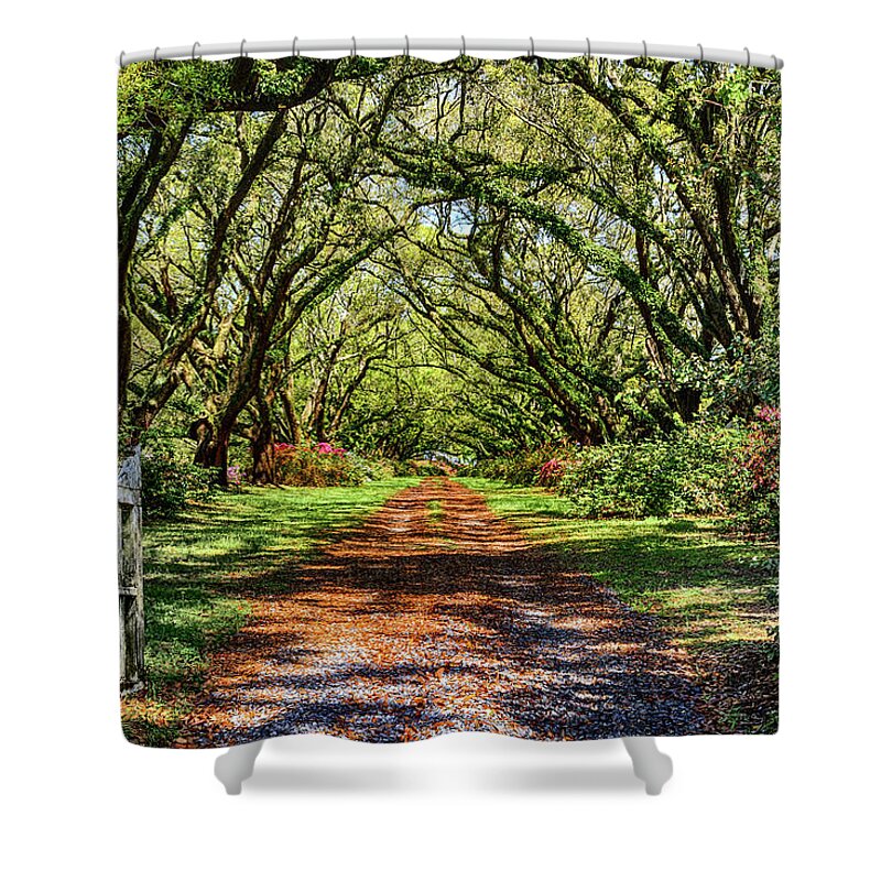  Shower Curtain featuring the photograph Arrogantly Shabby by Jim Miller