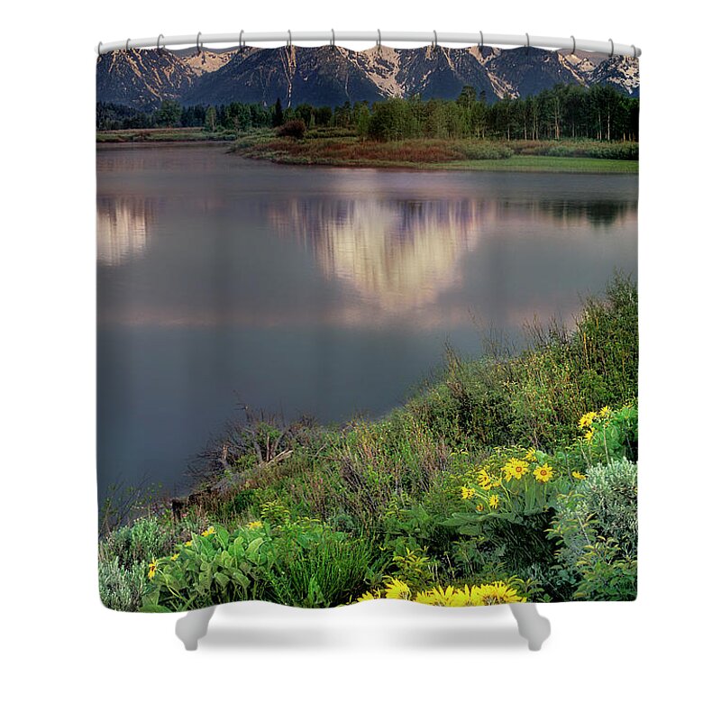 Dave Welling Shower Curtain featuring the photograph Arrowleaf Balsamrood Mount Moran Grand Tetons Np by Dave Welling