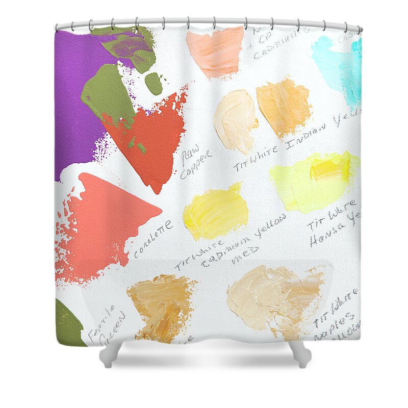 Face Mask Shower Curtain featuring the photograph Artist Paint Splotch by Theresa Tahara