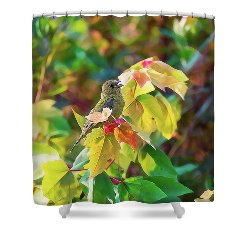 Immature Painted Bunting Shower Curtain featuring the photograph Artistic Immature Male Painted Bunting - Augusta Georgia 2 by Steve Rich