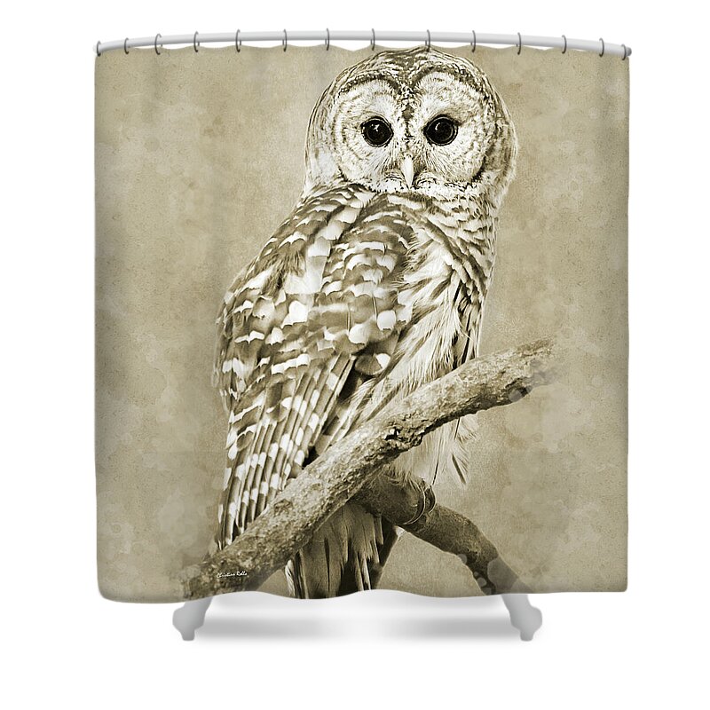 Owl Shower Curtain featuring the photograph Sepia Owl by Christina Rollo