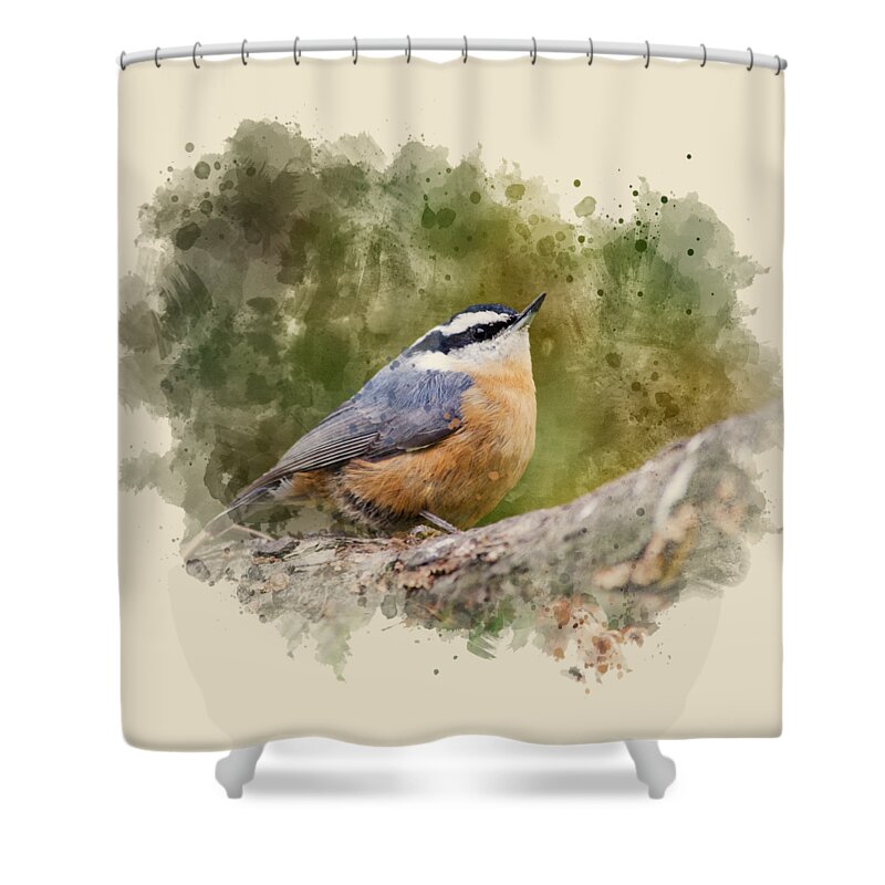 Nuthatch Shower Curtain featuring the mixed media Nuthatch Watercolor Art by Christina Rollo