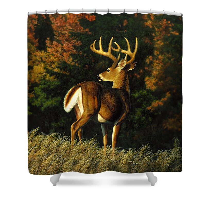 Deer Shower Curtain featuring the painting Whitetail Buck - Indecision by Crista Forest