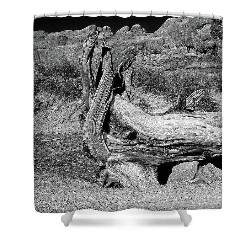 Abstract Shower Curtain featuring the photograph Bleached Wood #2 by Loren Gilbert