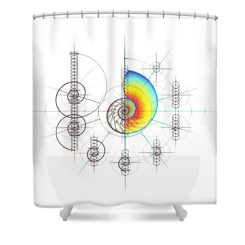Nautilus Shell Shower Curtain featuring the drawing Intuitive Geometry Nautilus Shell with steps by Nathalie Strassburg