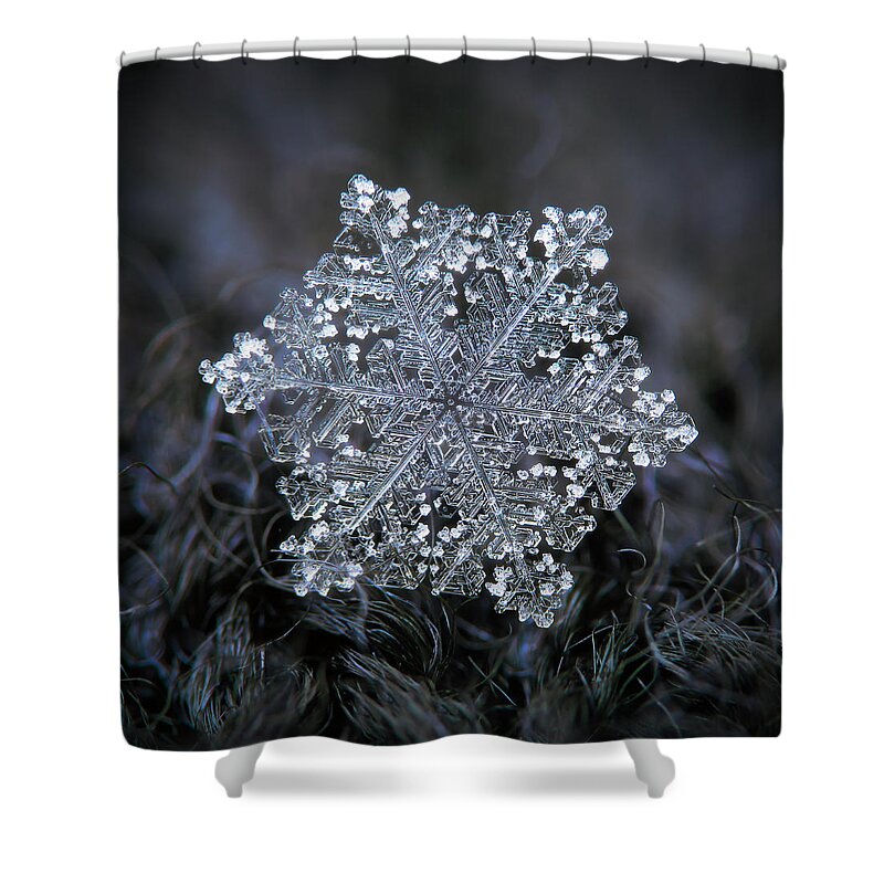Snowflake Shower Curtain featuring the photograph Real snowflake 2018-12-26_2 by Alexey Kljatov
