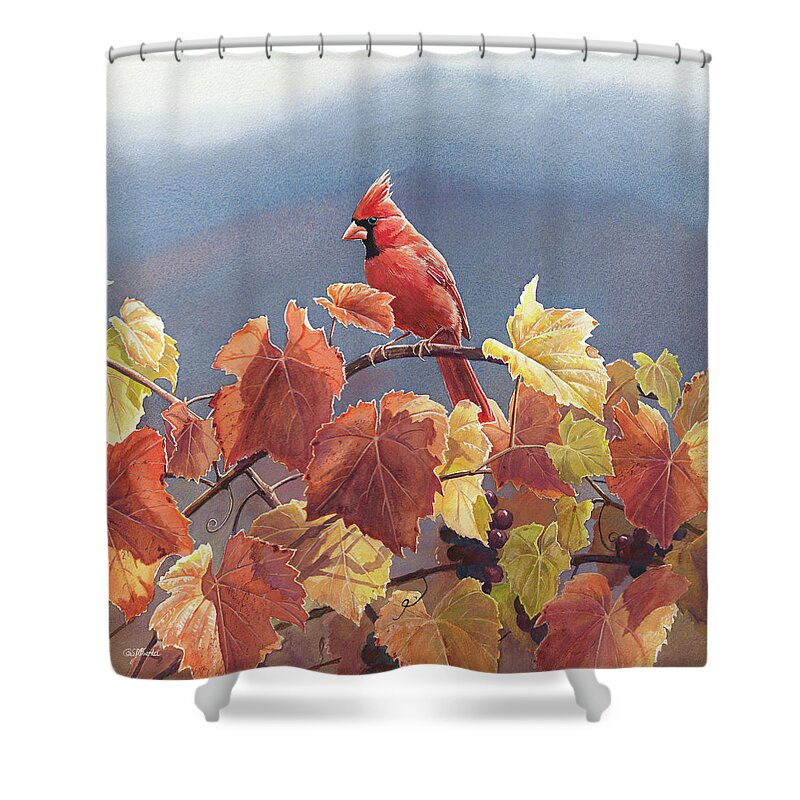 Robins Shower Curtains