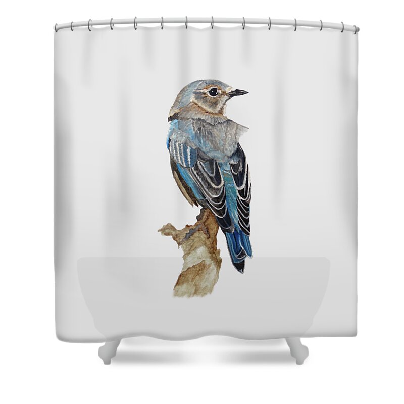 Bluebird Shower Curtain featuring the painting Watercolor Eastern Bluebird by Angeles M Pomata