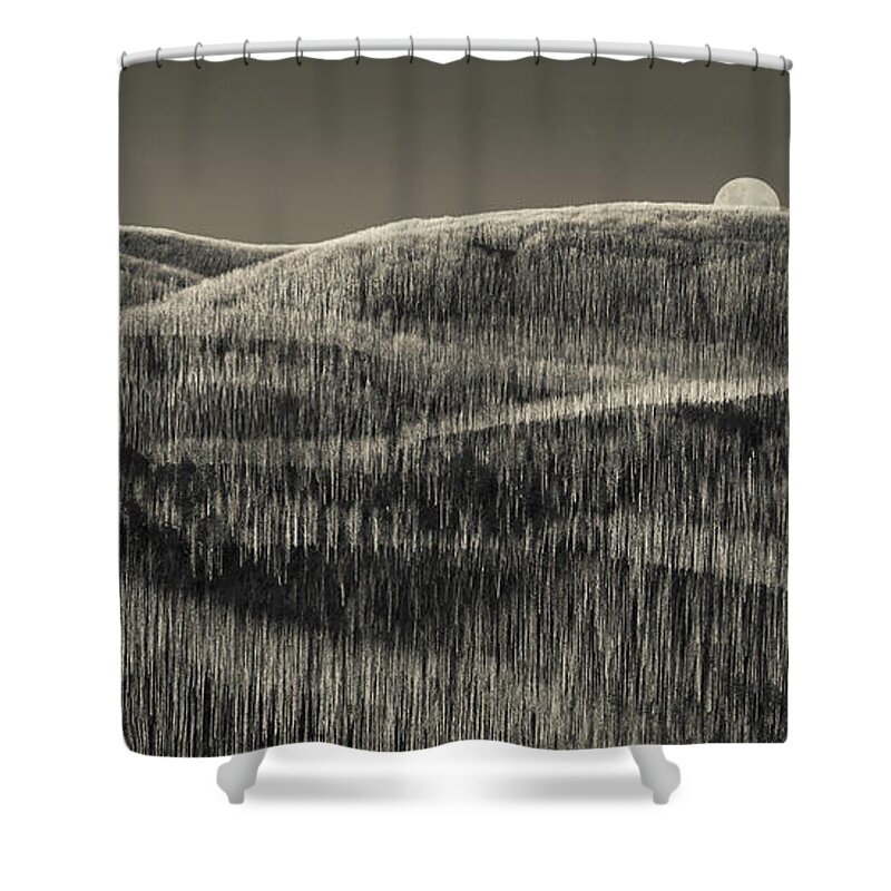 Burned Shower Curtain featuring the photograph Ashes by Ari Rex