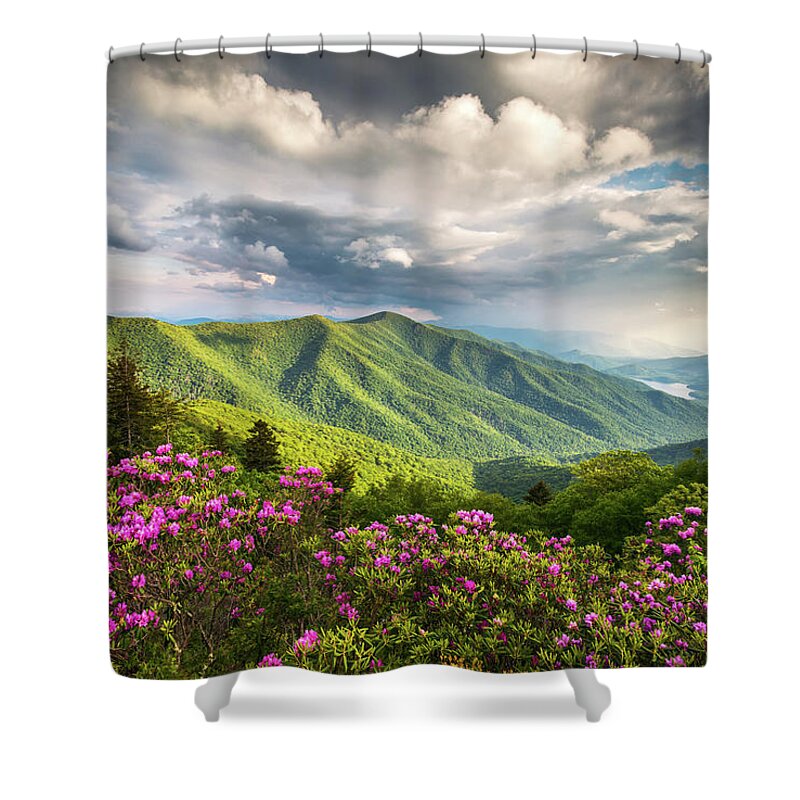 North Carolina Shower Curtain featuring the photograph Asheville NC Blue Ridge Parkway Spring Flowers by Dave Allen