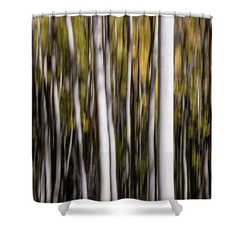 Aspen Shower Curtain featuring the photograph Aspen Abstract No.1 by Margaret Pitcher