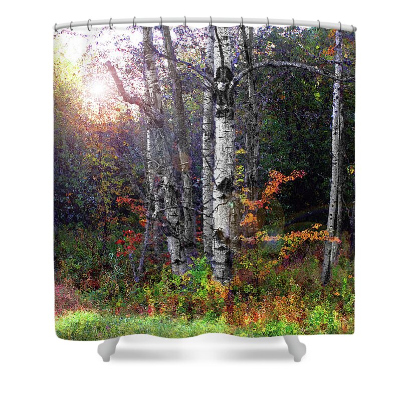 Aspen Shower Curtain featuring the photograph Aspen Morning by Wayne King