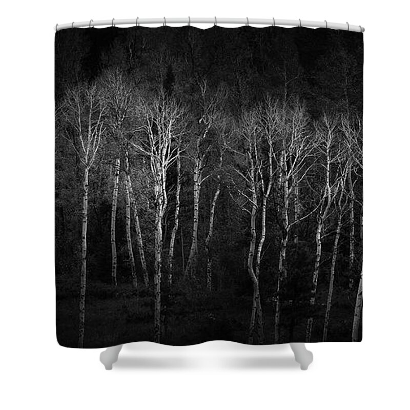 Aspen Shower Curtain featuring the photograph Aspen Negative by Doug Sturgess