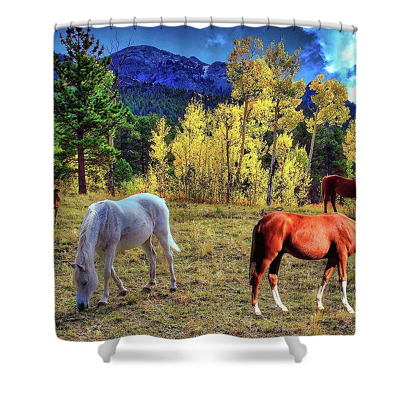 Aspen Shower Curtain featuring the digital art Aspen Pasture by Norman Brule