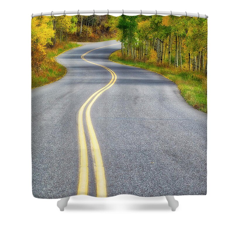Aspen Tree Shower Curtain featuring the photograph Aspen Road by Eggers Photography