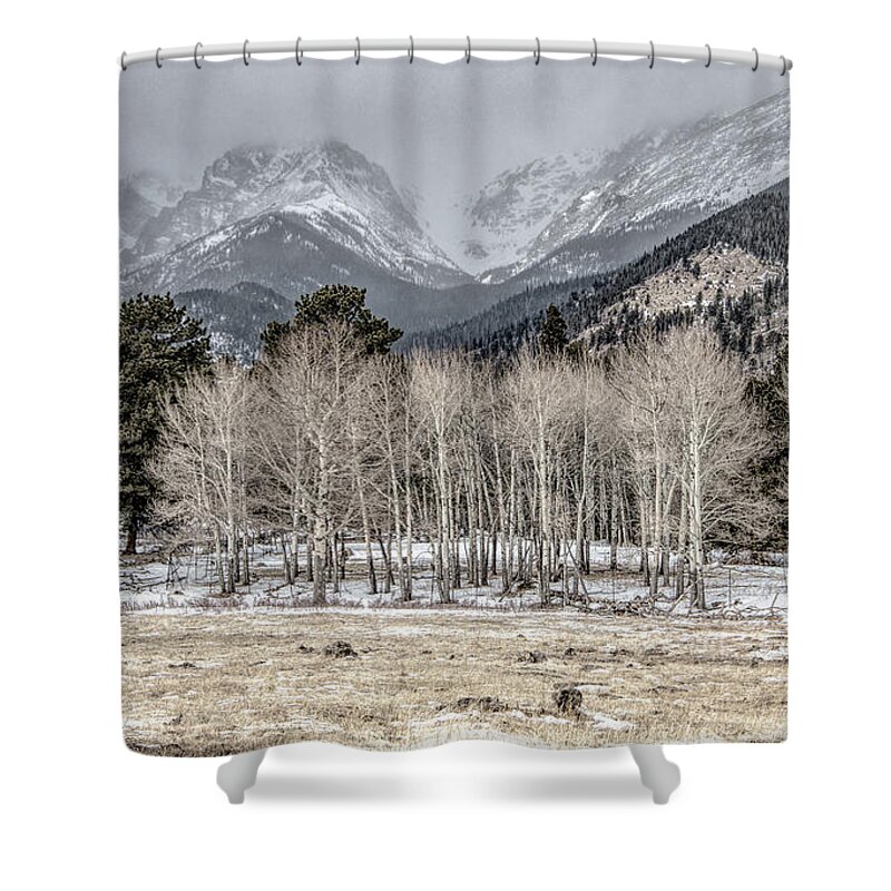 Rocky Mountains Shower Curtain featuring the photograph Aspen Skies, Desaturated Color by Marcy Wielfaert