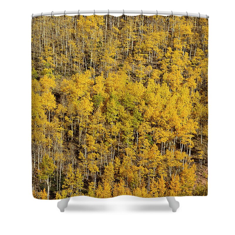 Aspen Shower Curtain featuring the photograph Aspen Texture by Aaron Spong