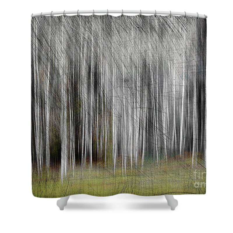 Nag006023 Shower Curtain featuring the digital art Aspen Woods by Edmund Nagele FRPS