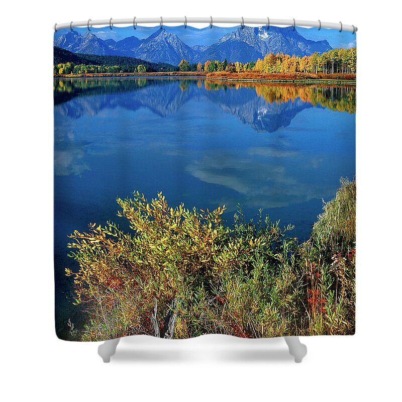 Dave Welling Shower Curtain featuring the photograph Aspens Fall Oxbow Bend Grand Tetons National Park by Dave Welling
