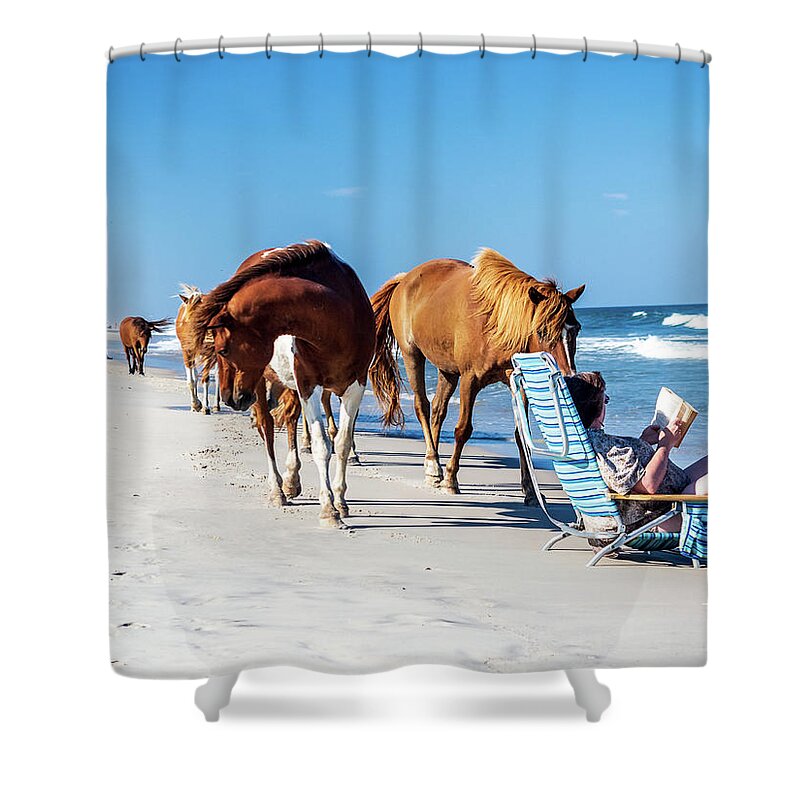 Assateague Shower Curtain featuring the photograph Assateague Island - ponies on beach by Louis Dallara