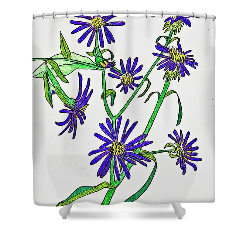 Aster Shower Curtain featuring the drawing Aster Wildflowers by Karen Nice-Webb