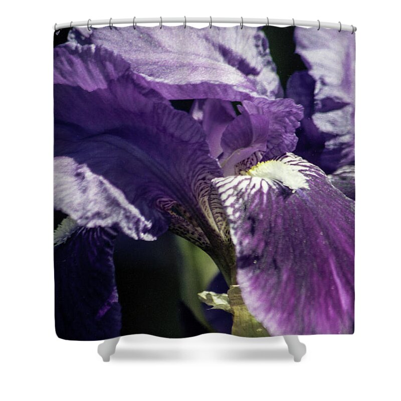Arizona Shower Curtain featuring the photograph At An Angle by Kathy McClure