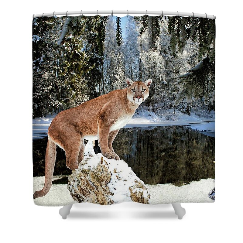 Cougar Shower Curtain featuring the digital art At Home in the Forest by Norman Brule