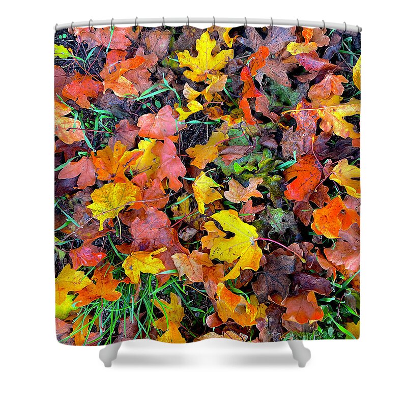 Fall Shower Curtain featuring the photograph At the Feet of Fall by Maya Mey Aroyo