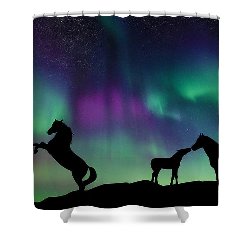 Picture Shower Curtain featuring the digital art Aurora Horses by Larah McElroy