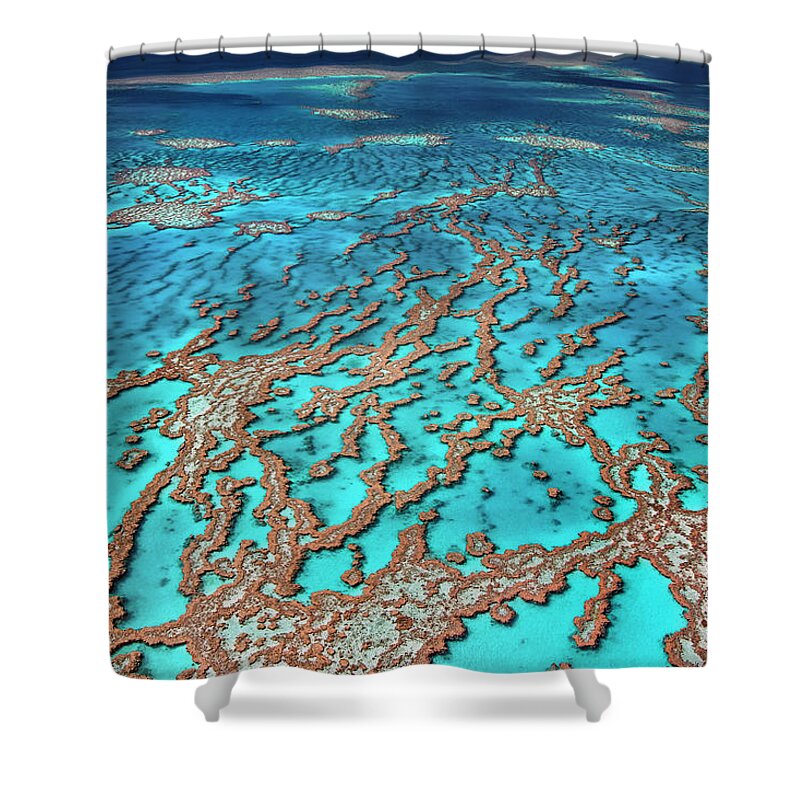 Australia Shower Curtain featuring the photograph Australia - the Great barrier reef by Olivier Parent