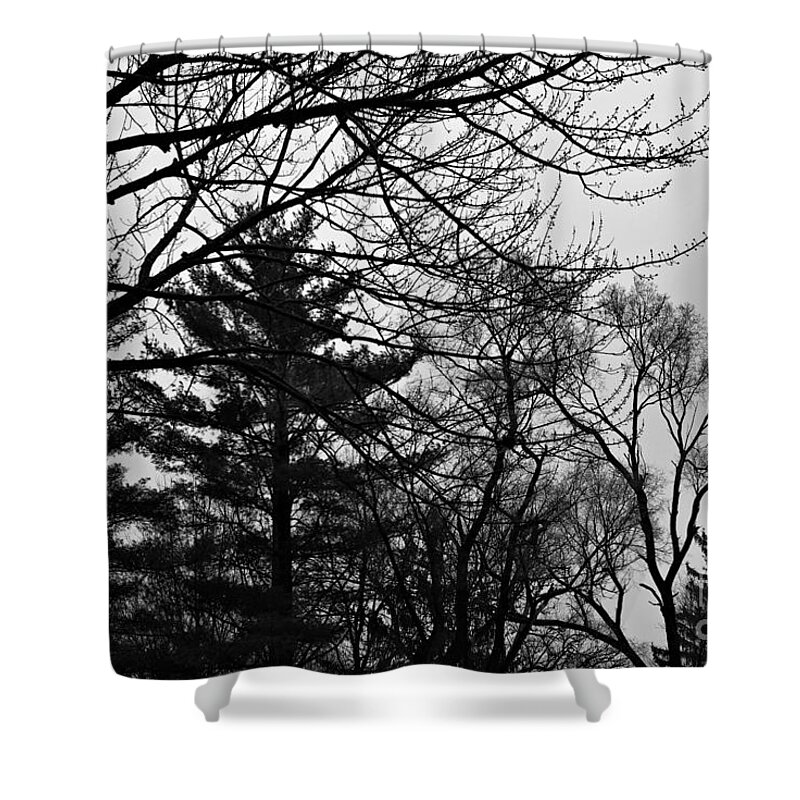 Landscape Shower Curtain featuring the photograph Authentic Expression - Black and White by Frank J Casella