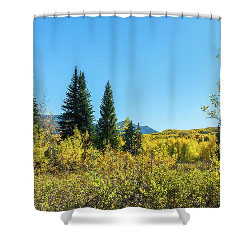 Aspens Shower Curtain featuring the photograph Autumn at Lost Lake by Ron Long Ltd Photography