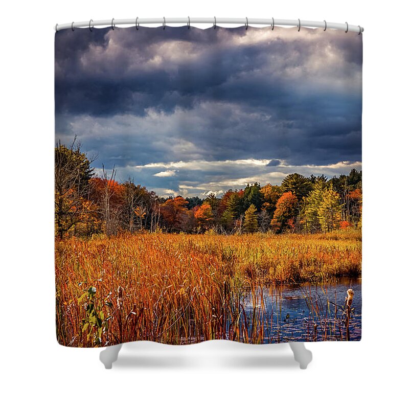 Colors Of Autumn Shower Curtain featuring the photograph Autumn beauty 7 by Lilia S