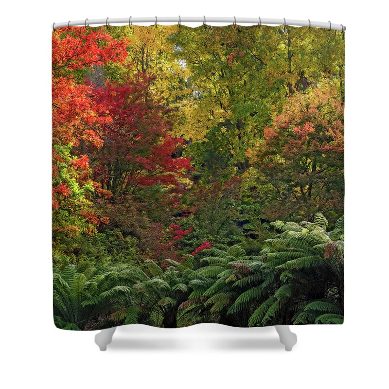 Autumn Shower Curtain featuring the photograph Autumn, Cataract Gorge, Tasmania, Australia by Elaine Teague