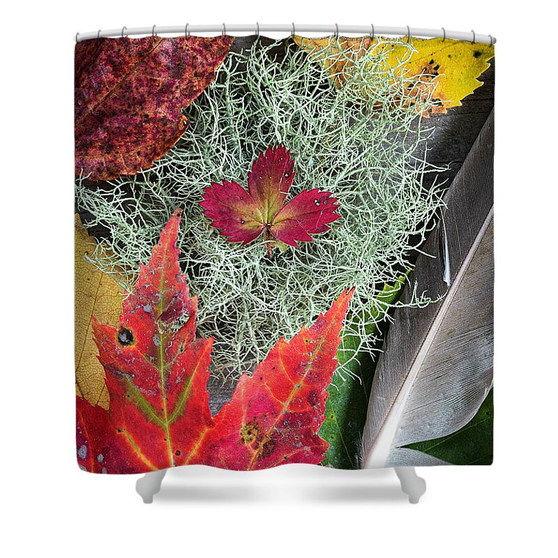 Feather Shower Curtain featuring the photograph Autumn Collage by Norman Reid
