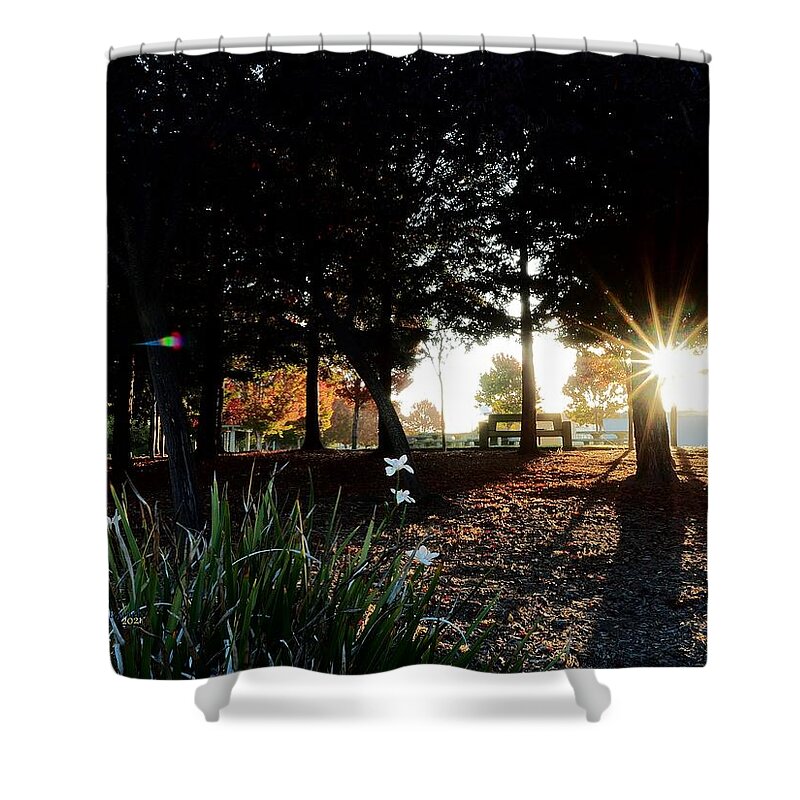 Season Shower Curtain featuring the photograph Autumn Day Lilies by Richard Thomas