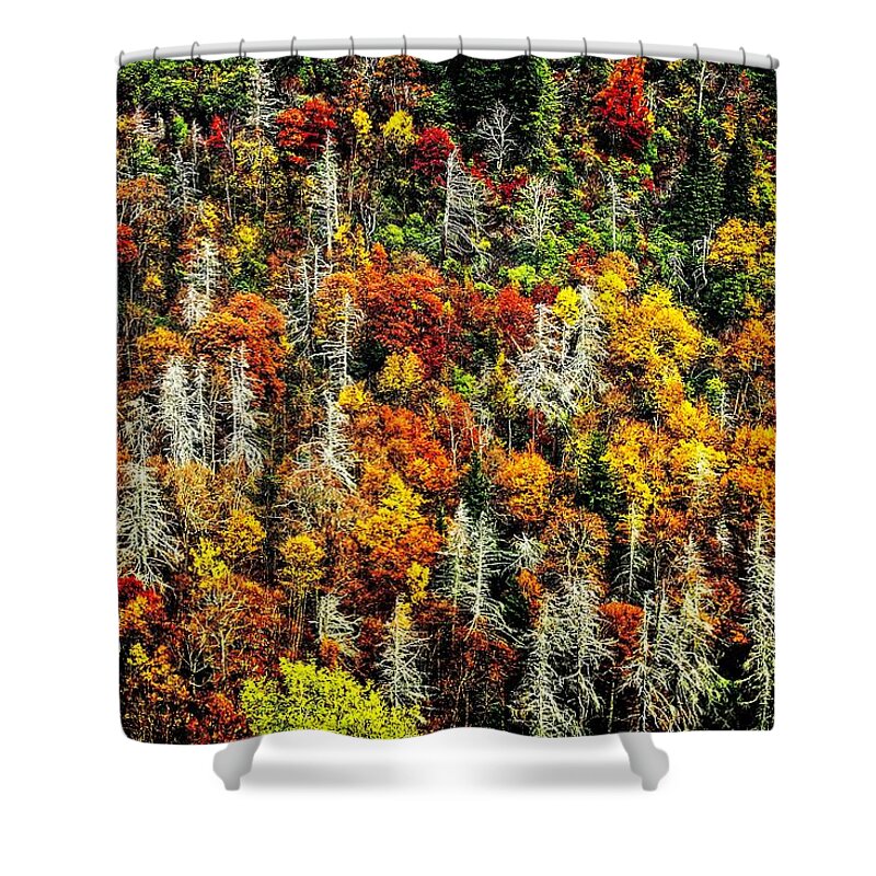 Autumn Shower Curtain featuring the photograph Autumn Diversity by Allen Nice-Webb