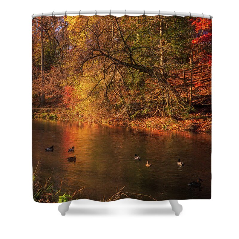Lehigh Parkway Shower Curtain featuring the photograph Autumn Ducks on the Little Lehigh Creek by Jason Fink