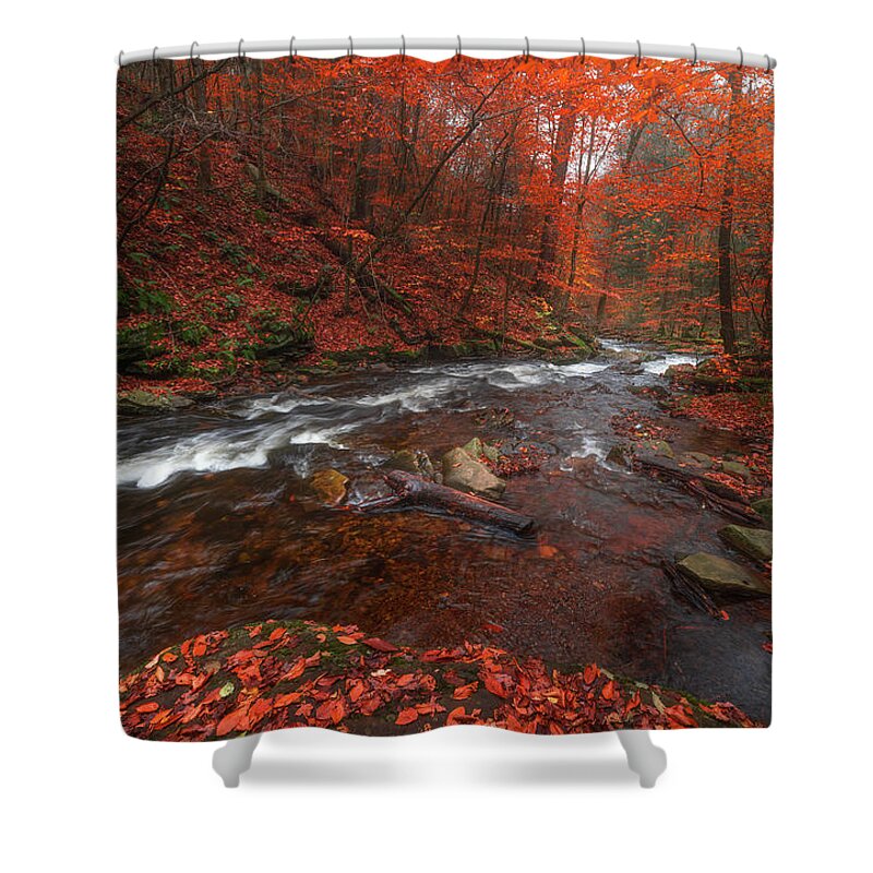 Fall Scenes Shower Curtain featuring the photograph Autumn Fire by Darren White
