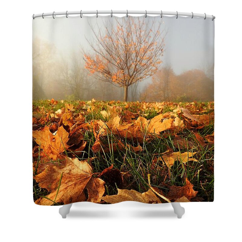 Autumn Shower Curtain featuring the photograph Autumn Fog by Dark Whimsy