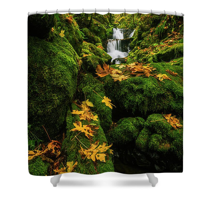 Emerald Falls Shower Curtain featuring the photograph Autumn Glory at Emerald Falls in Columbia River Gorge in Oregon USA by Vishwanath Bhat