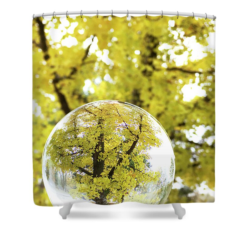 Autumn In A Crystal Ball Shower Curtain featuring the photograph Autumn in a Crystal Ball by Patty Colabuono