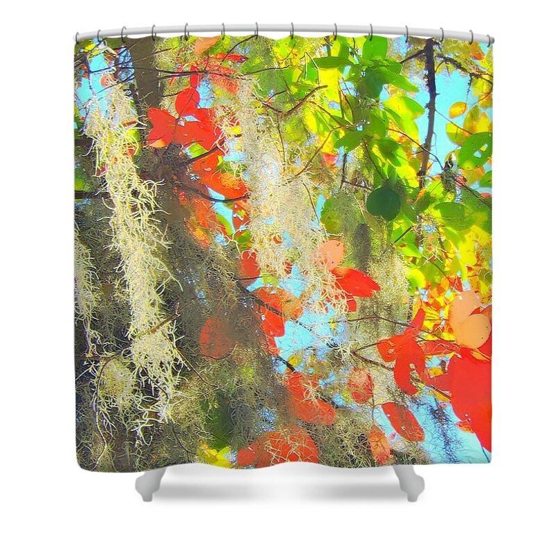 Autumn Shower Curtain featuring the photograph Autumn In Dixie by Tami Quigley