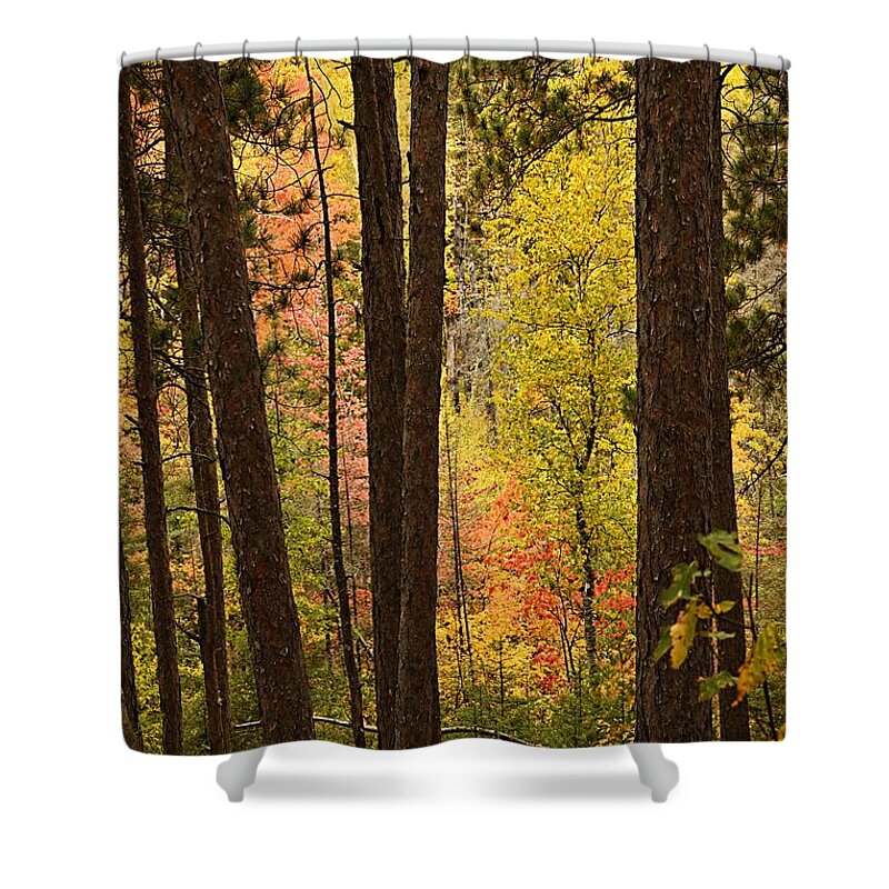 Landscape Shower Curtain featuring the photograph Autumn in Hiding by Larry Ricker