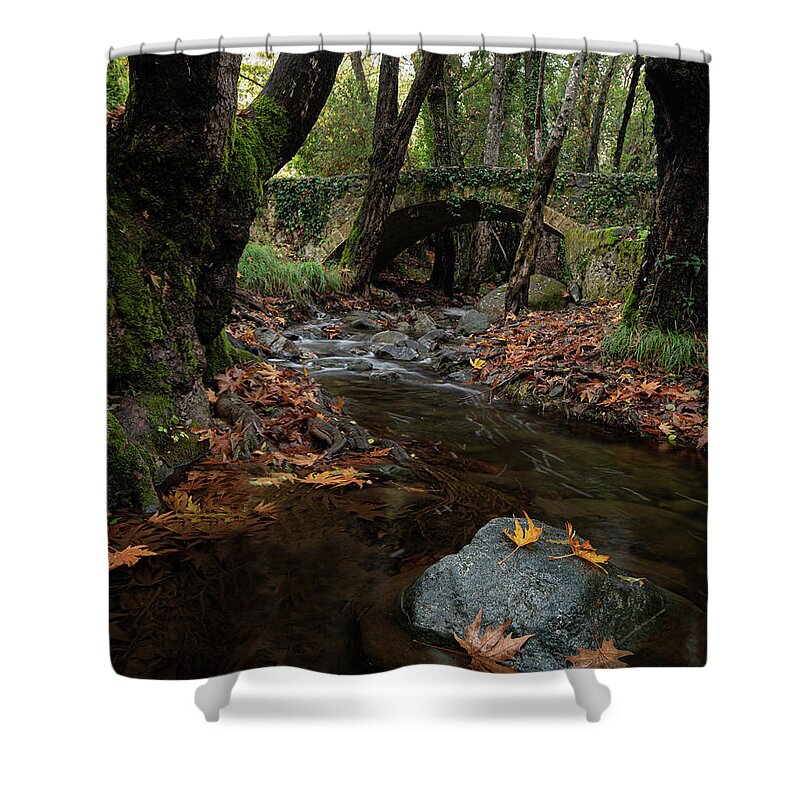 Autumn Shower Curtain featuring the photograph Autumn landscape with river flowing below a stoned ancient bridge by Michalakis Ppalis